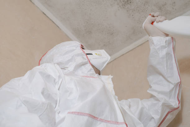South Pasadena, CA Mold Remediation Company